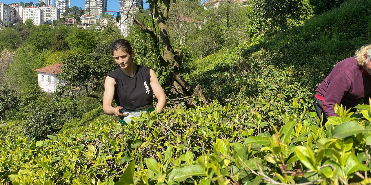 Çay bahçesinden çıkıp, Avrupa şampiyonu oldu