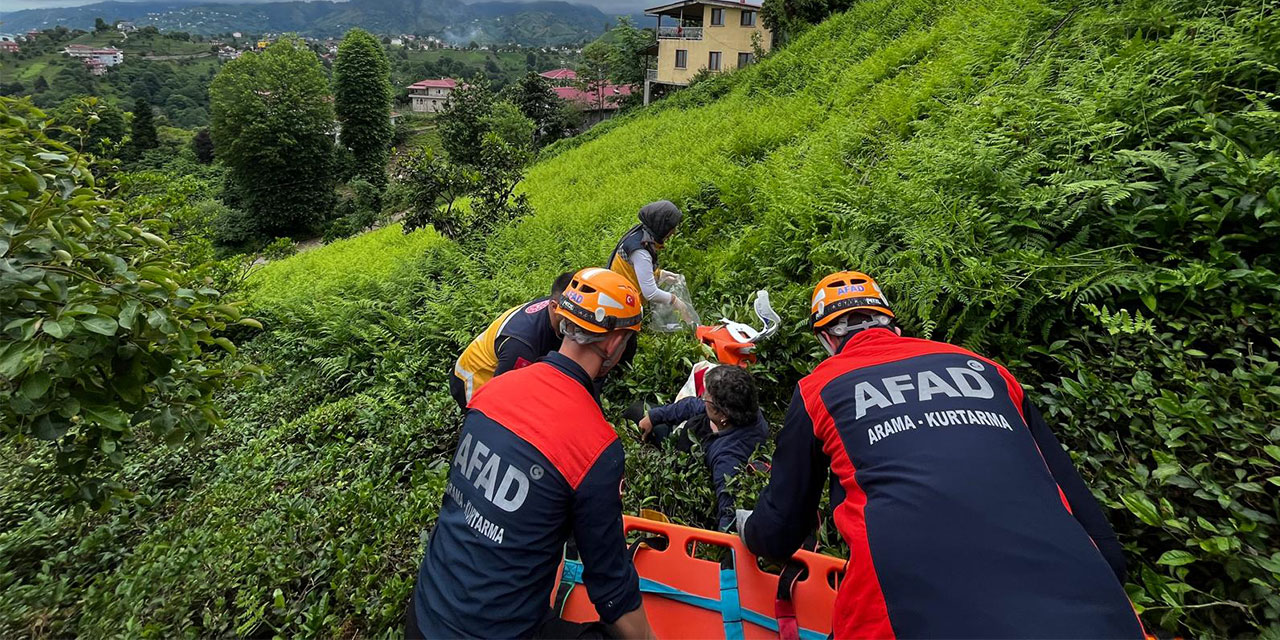 Rize'de Çaylık Alanda Ot Temizlerken Yamaçtan Düşen Kişi Yaralandı