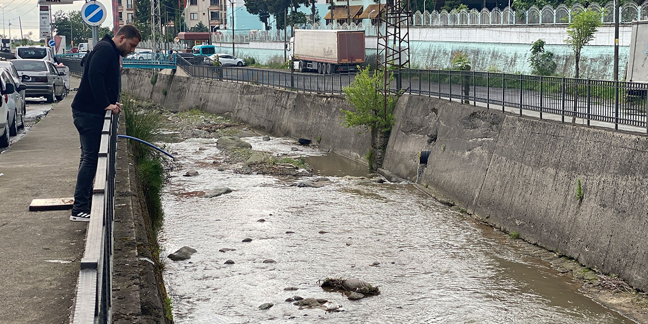 Rize’de derede balık ölümlerine inceleme