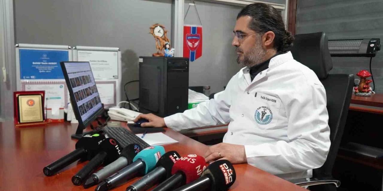 Prof. Dr. Kaya’dan Zehirli Mantar Uyarısı: "Doğadan Toplanan Mantarlar Hayati Risk Taşıyor"