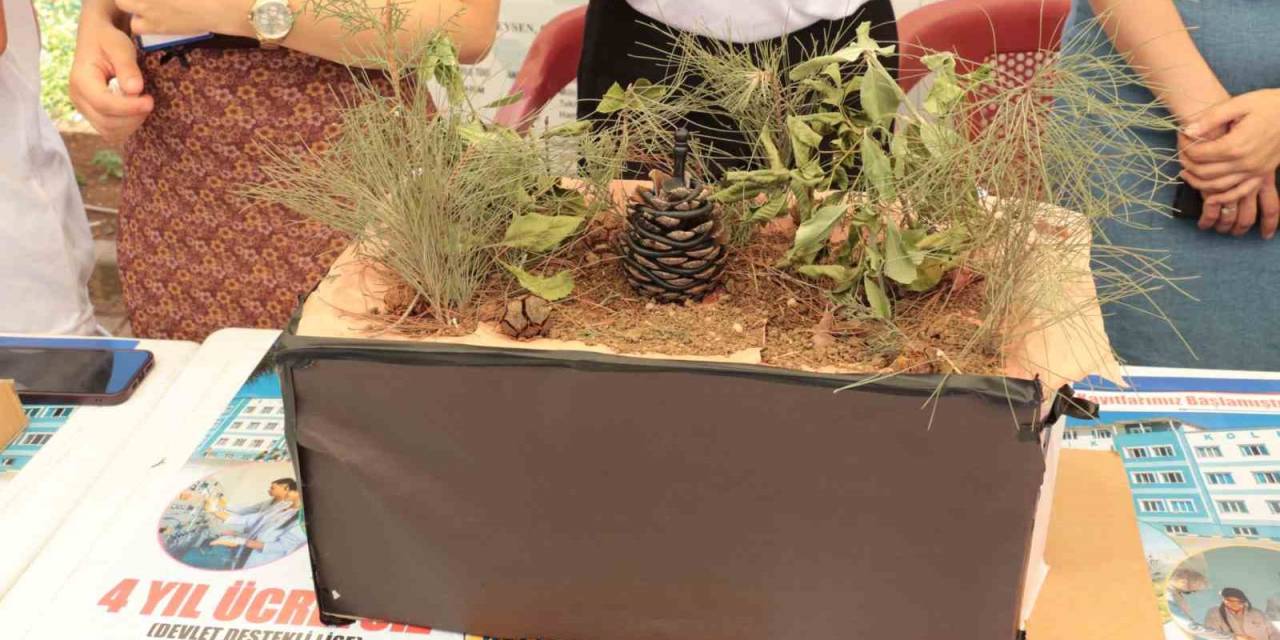 Şırnaklı Öğrencilerden "Yakan Değil Söndüren Kozalak Projesi"