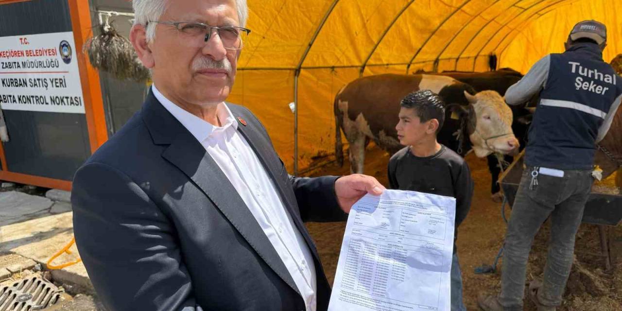 Tvhb Merkez Konseyi Başkanı Eroğlu, Kurban Pazarında Veteriner Hekimlerin Uğradığı Şiddete Dikkat Çekti