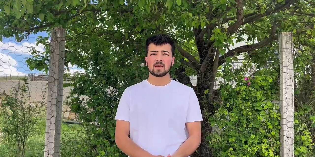 Yılkı Atları Doğada Dans Etti, O Anlar Cep Telefonu Kamerasına Yansıdı