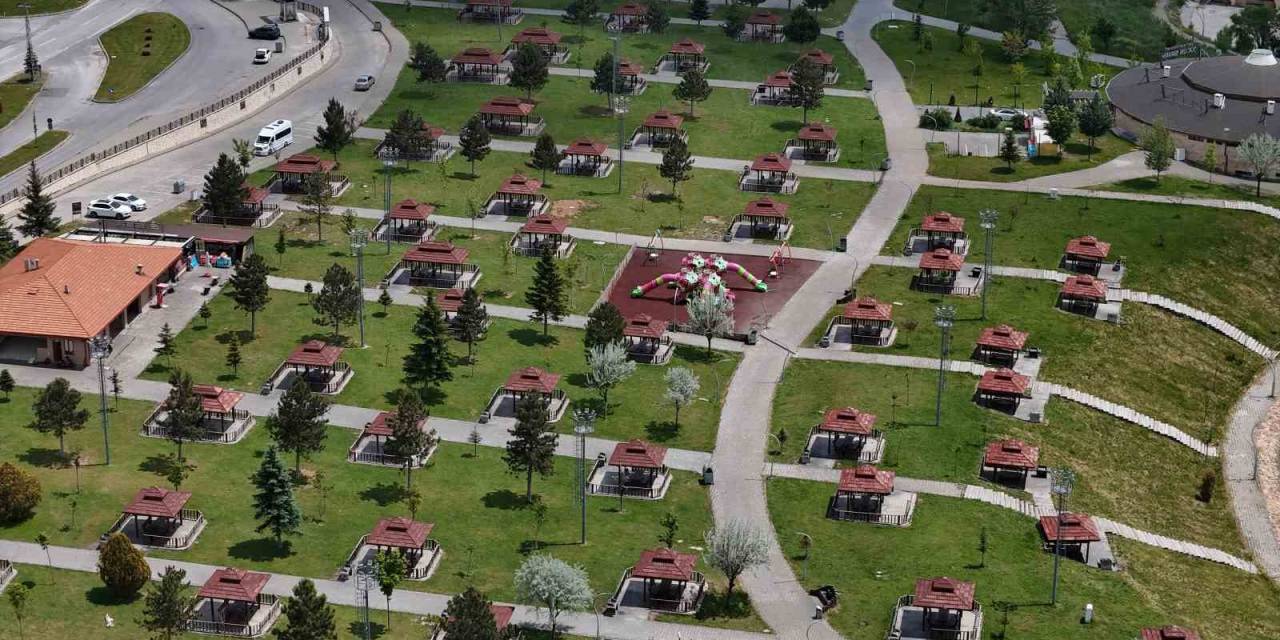 Sivas’ta Mesire Alanları, Kene Kabusu Nedeniyle Boş Kaldı