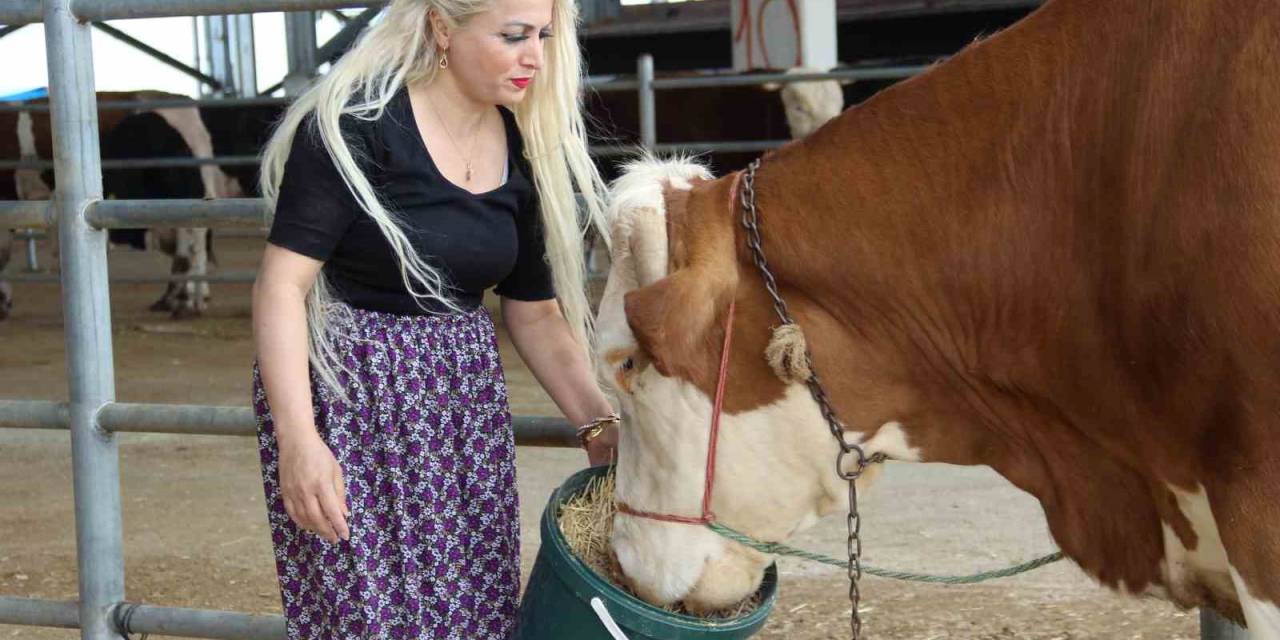 Hayvan Pazarında Kadın Gücü: Ailesi İçin Mücadele Ediyor