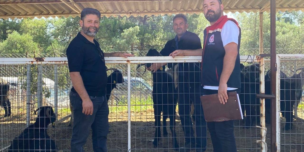 Karacasu’da Kurban Satış Yerleri Denetlendi