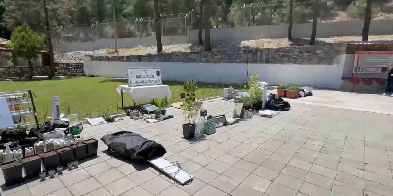 Muğla’da Torbacı Operasyonunda 43 Tutuklama