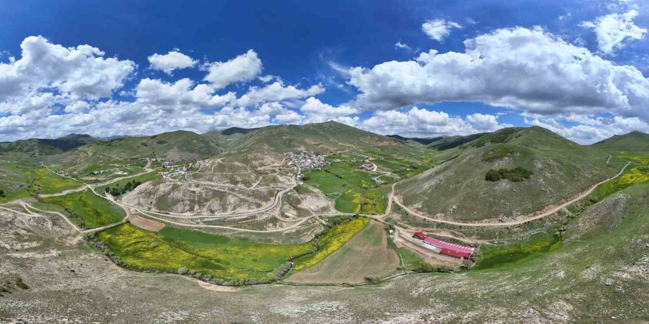 Gümüşhane’de Sarıçiçek Vadisi’nde Mest Eden Görüntüler