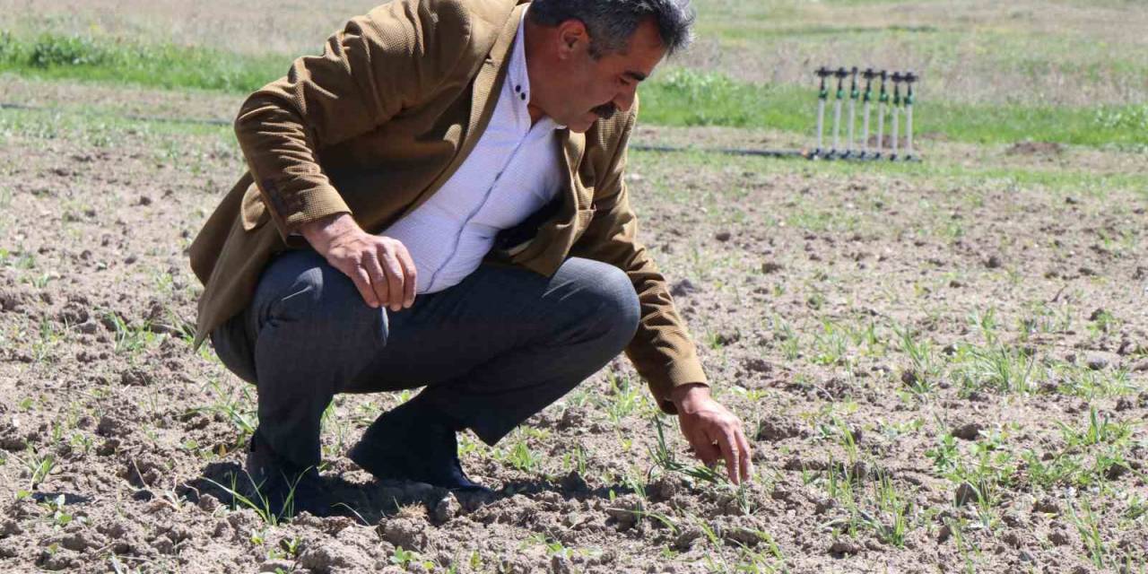 Ağrı Diyadin’de Üretim Seferberliği