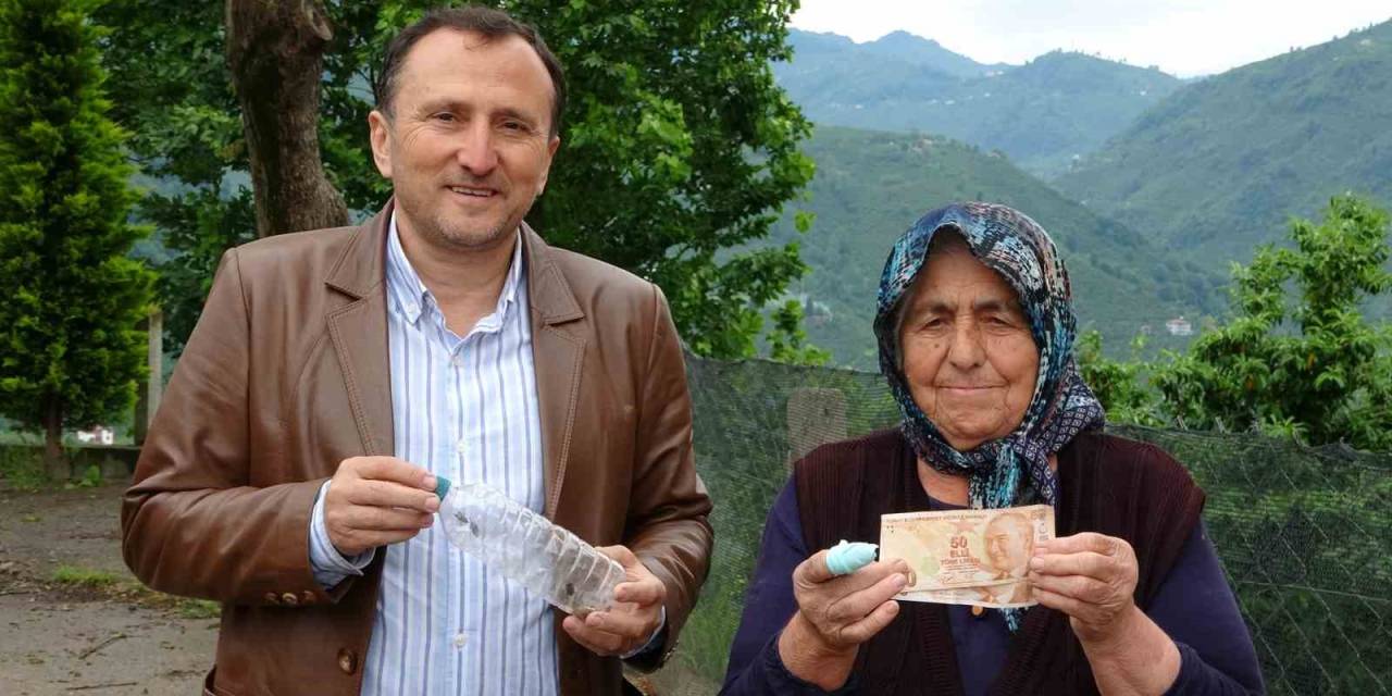 Kokarcanın Başına Ödül Konuldu: Canlısı 1 Tl