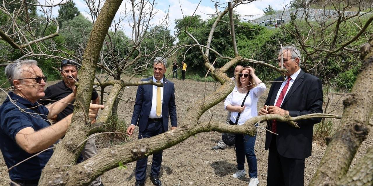 Bilecik’te Meyve Bahçelerinde Don Zararına Karşı Eğitim Düzenlendi