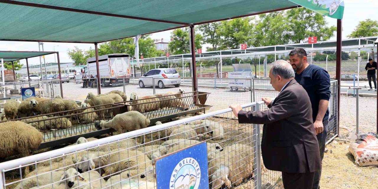 Başkan Yalçın’dan Kurban Pazarı Ziyareti: "Bu Alan Hem Emeğin Hem Duaların Buluşma Noktası"