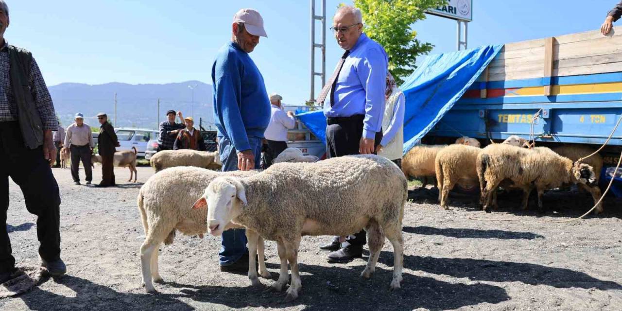 Başkan Arslan; "Üreticilerimizin Emeğiyle, Hemşehrilerimiz Güvenle Kurbanlıklarını Temin Ediyor"