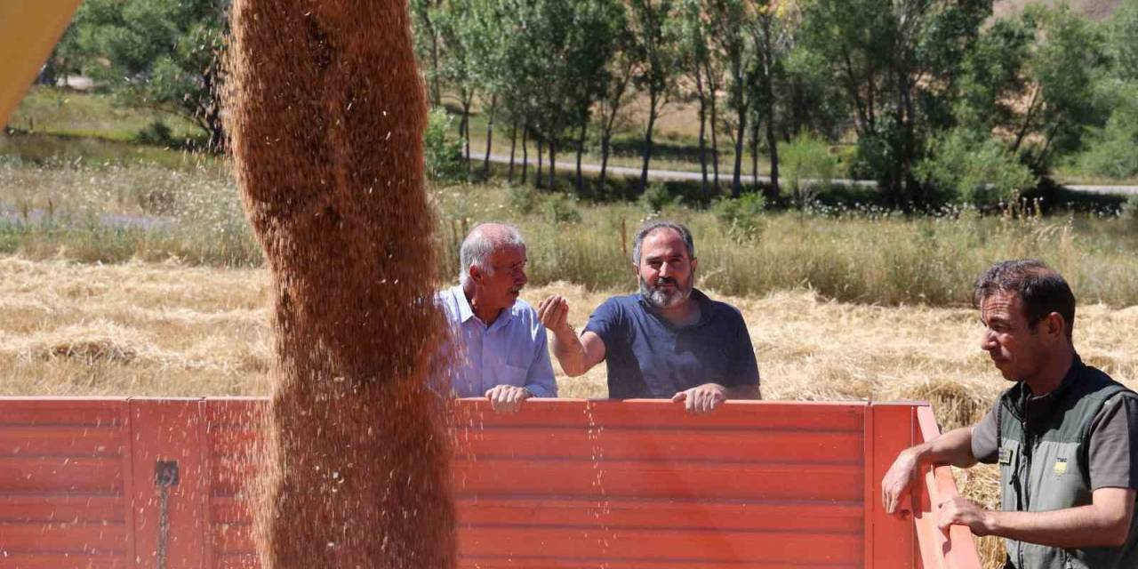 Bakanlık Fiyatları Açıkladı, Sivas Çiftçisi Memnun Kaldı