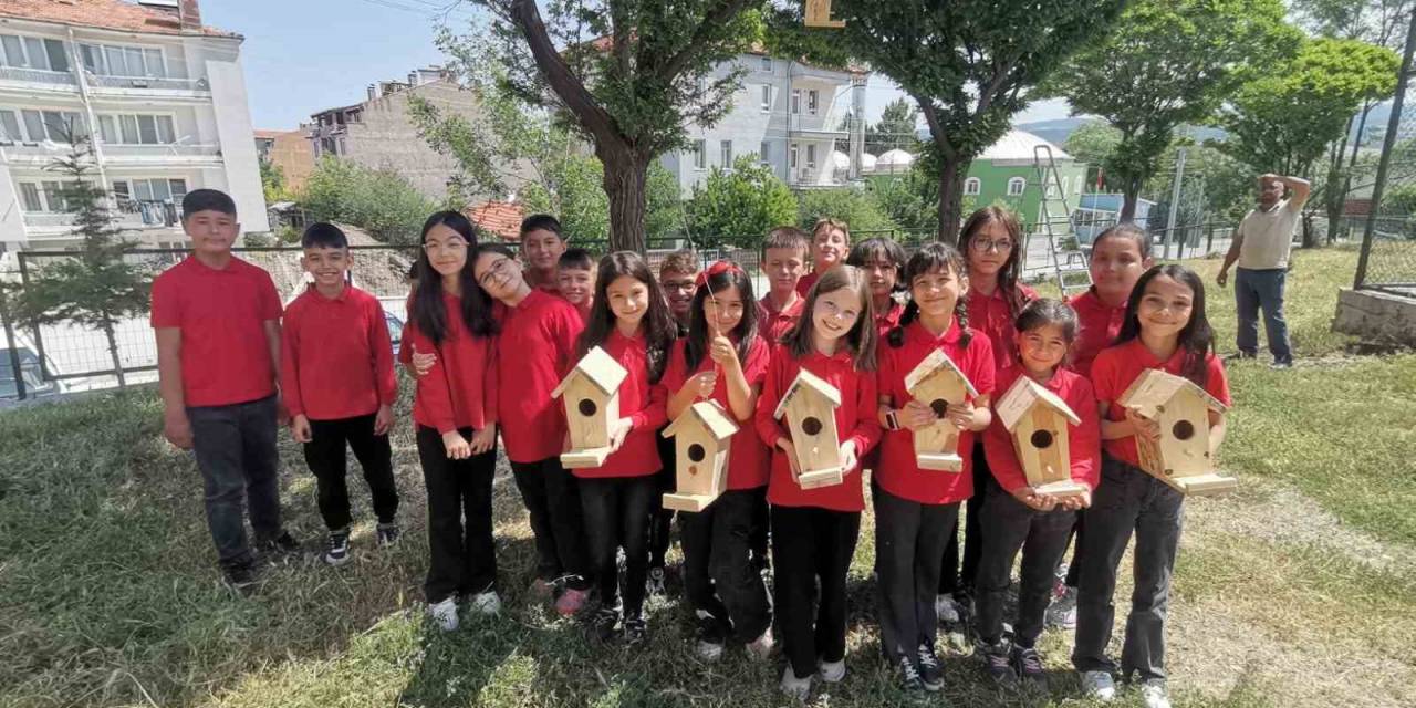 Hisarcık’ta Minik Öğrenciler Ağaçlara Kuş Yuvası Astı