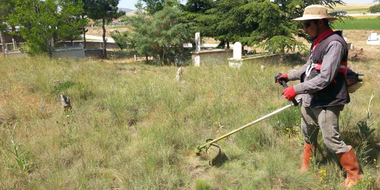 Yarımca Köyü Yabancı Otlardan Temizleniyor