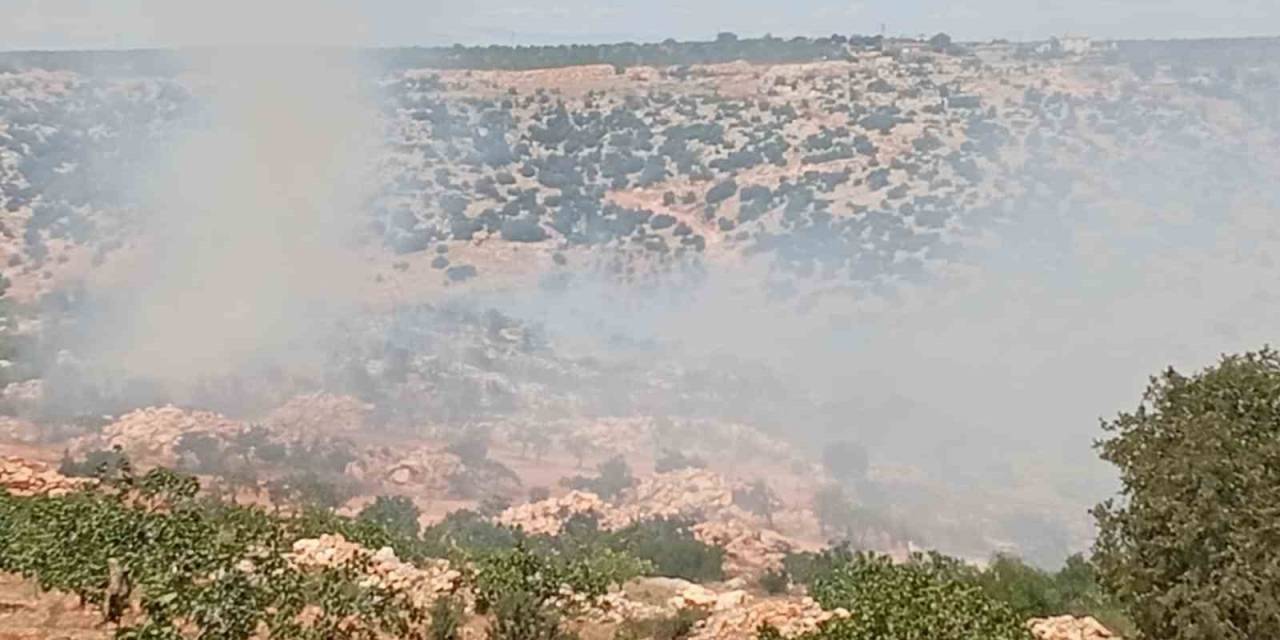 Gaziantep’te Fıstık Ve Zeytin Bahçelerinde Yangın