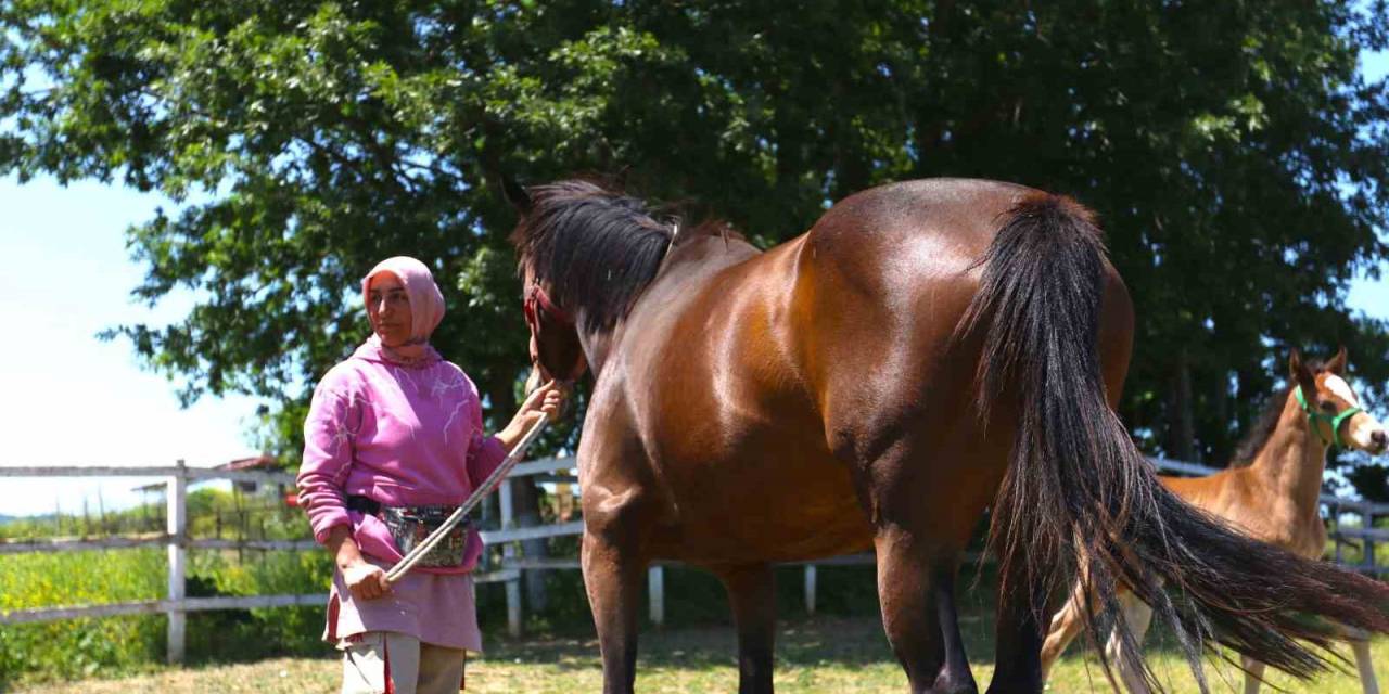 Milyonluk Atları Büyüttü, Yarışlarını Nefesini Tutup İzliyor