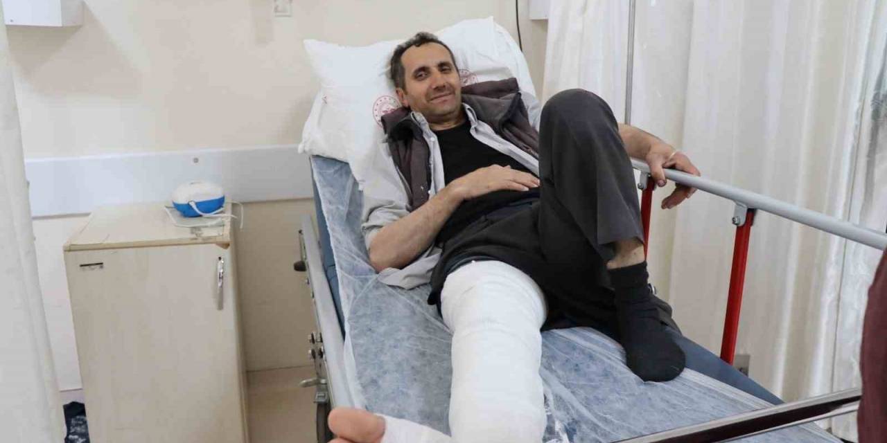 Erzurum’da Üzerine Kurbanlık Düşen Adamın Ayağı Kırıldı
