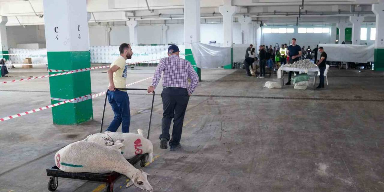 Bayram Huzuru Tepebaşı’nda