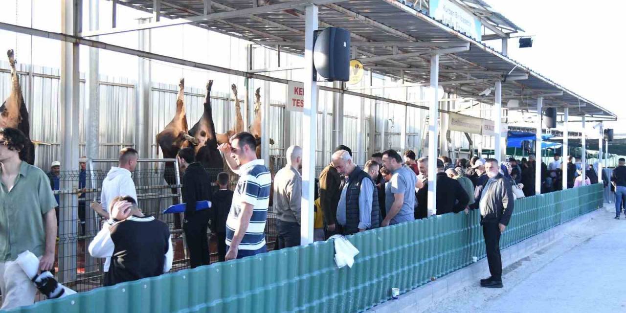 -pursaklar Belediyesi’nden Çevrim İçi Kurban Kesimi