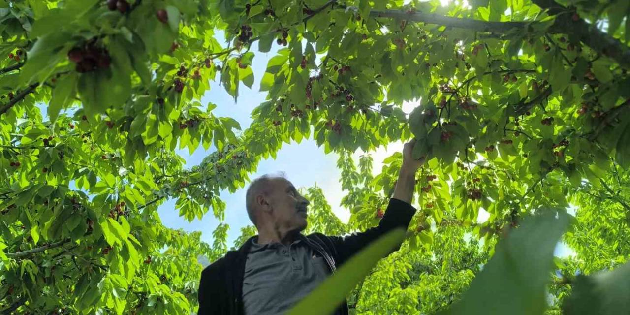 Doğayla İç İçe Lezzetli Bir Deneyim