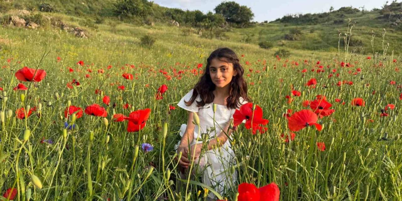 Iğdır’da Gelincik Tarlaları Görsel Şölen Sunuyor