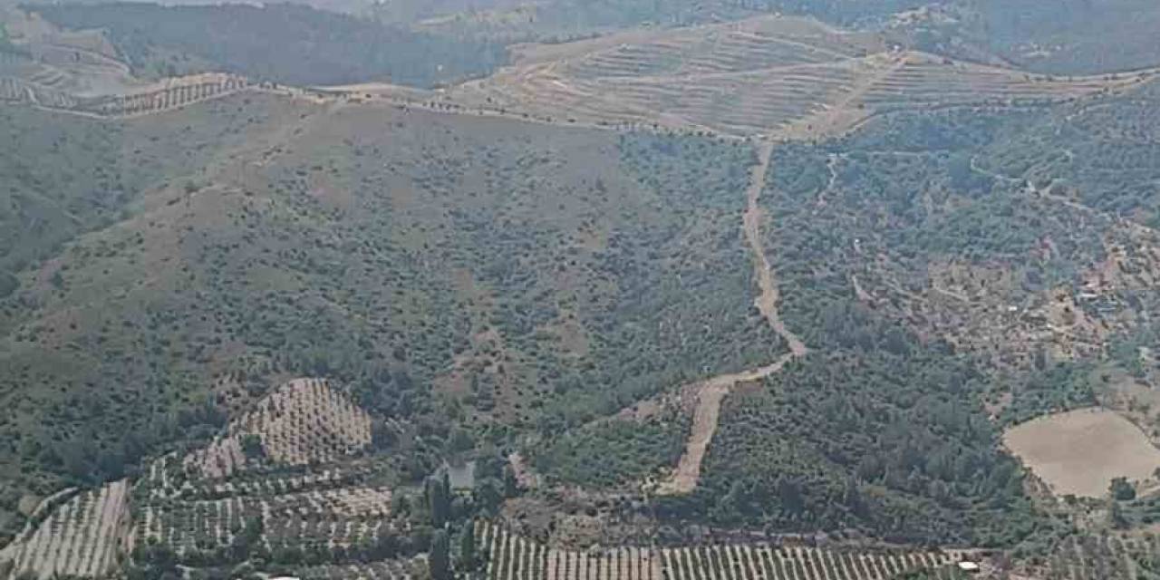 İzmir’de Ormanlık Arazide Çıkan Yangın Kontrol Altında