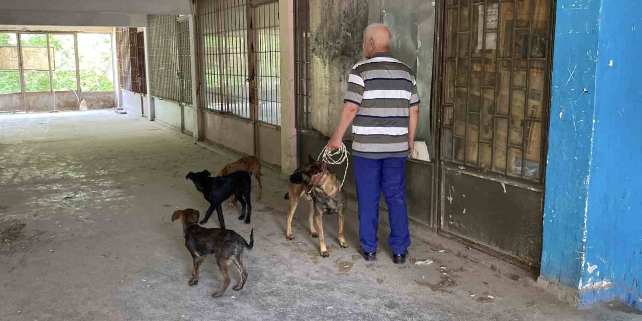 Yaklaşık 2 Haftadır Depoda Mahsur Kalan 6 Köpek Kurtarıldı