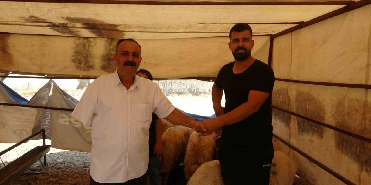 Batman’da Kurbanlık Satışlarında Yoğunluk Sürüyor