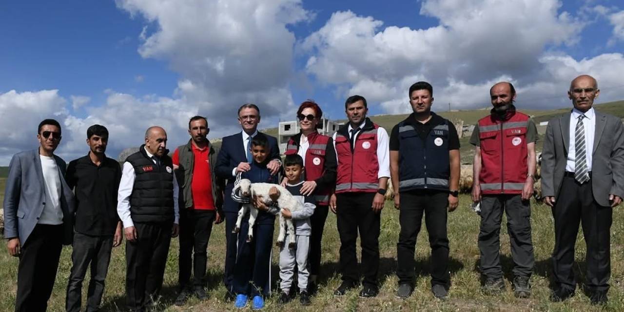 Van’da 3 Yılda 2 Bin 375 Çiftçiye 235 Bin Koyun Desteği Verildi