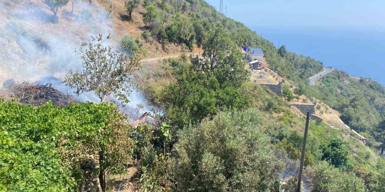 Bahçe Yangını Büyümeden Söndürüldü