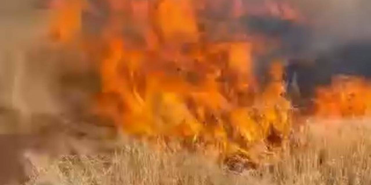 Şanlıurfa’da Buğday Tarlası Küle Döndü