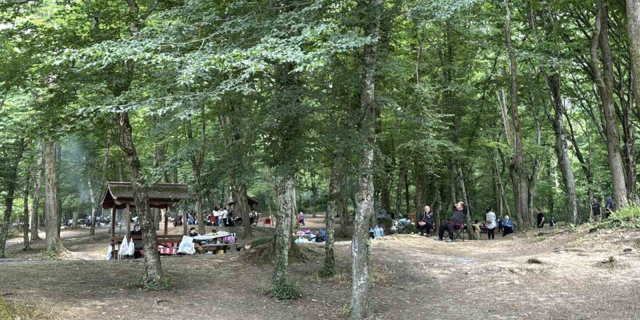 İstanbullular Kurban Bayramı’nın 2’nci Gününde Belgrad Ormanı’na Akın Etti
