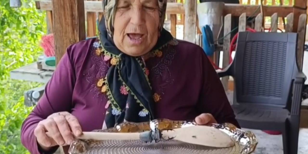 Parmak Büyüklüğünde Geyik Böceği Görüldü: Cezası 557 Bin Tl