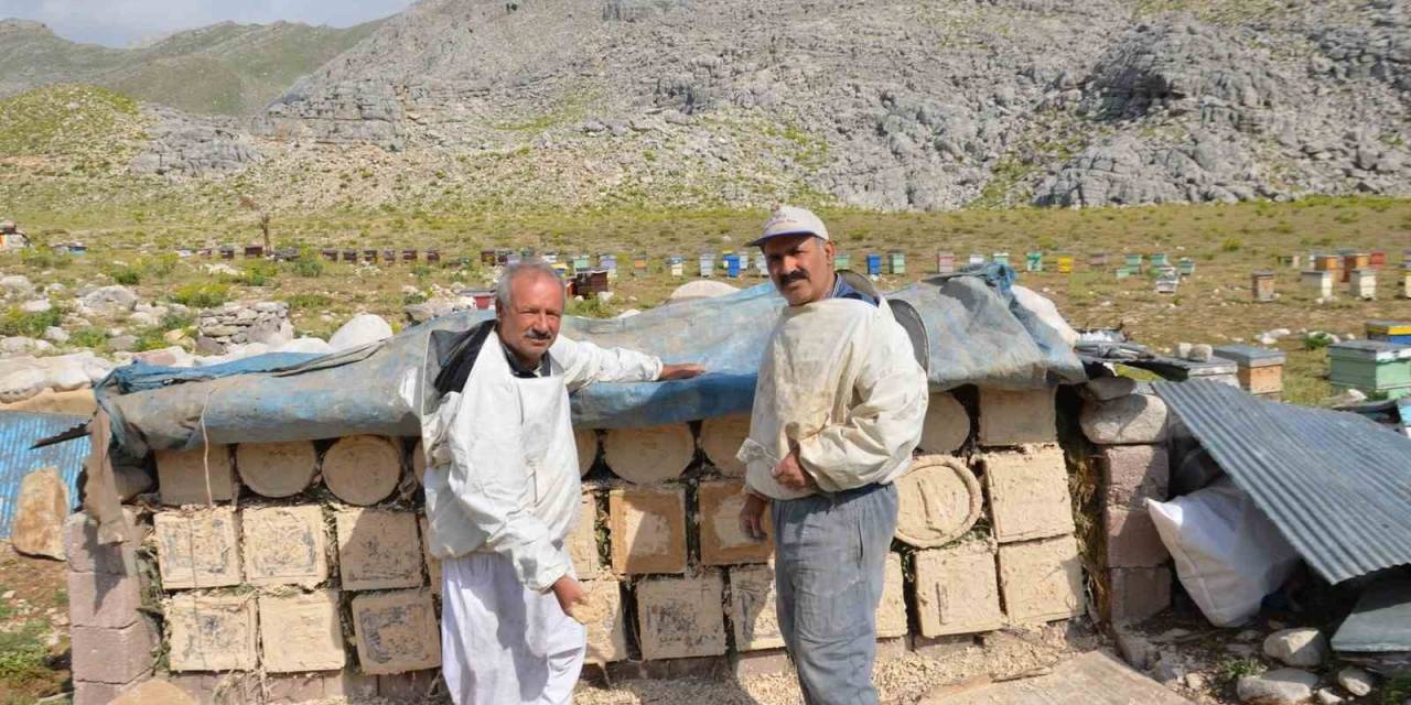 Antalya’da Arıcılar Kara Kovanlarını Yüksek Kesimlerdeki Yaylalara Çıkardı