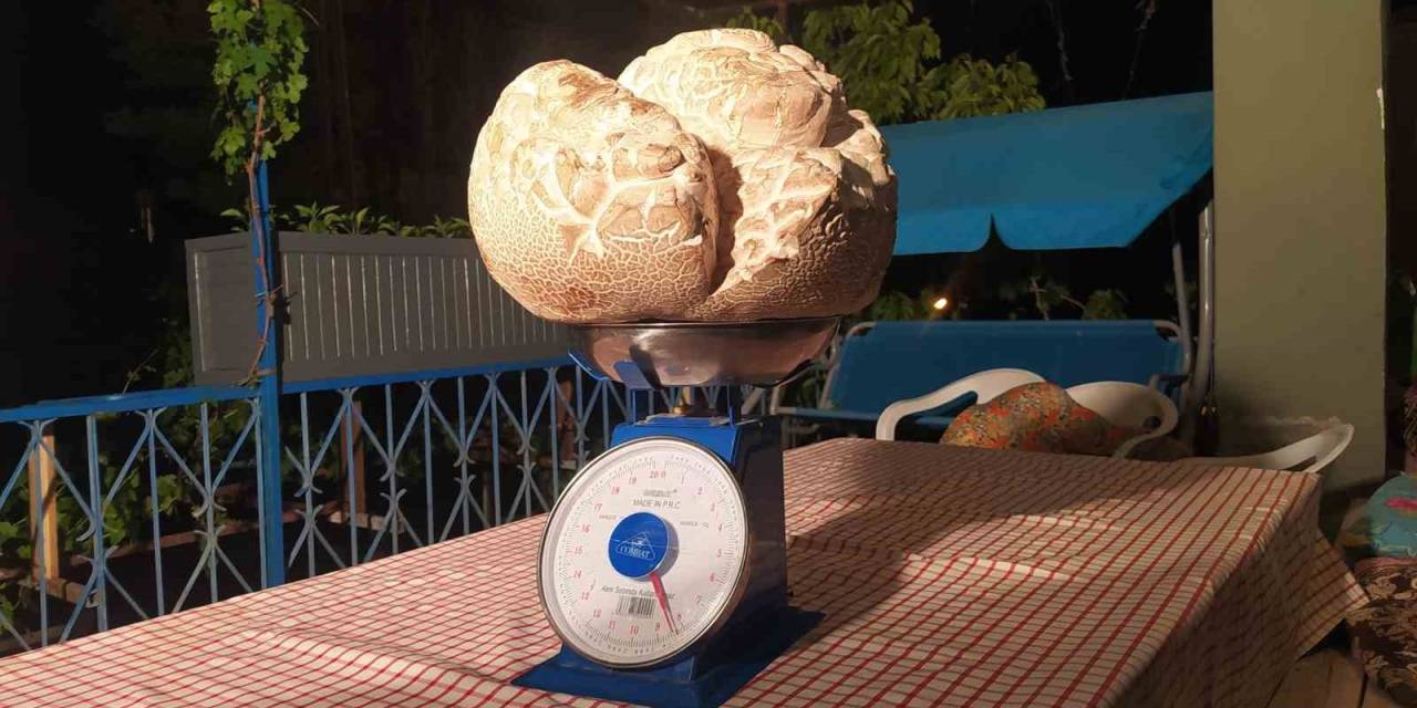 ‘Hayatımda İlk Defa Gördüm’ Dedi, Görenler Gözlerine İnanamadı