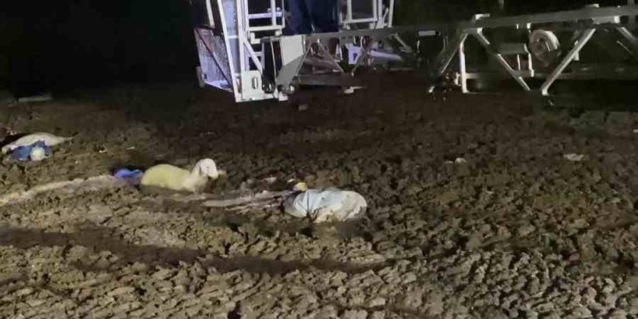 Atık Dökülen Alanda Mahsur Kalan Koyunu İtfaiyeciler Kurtardı