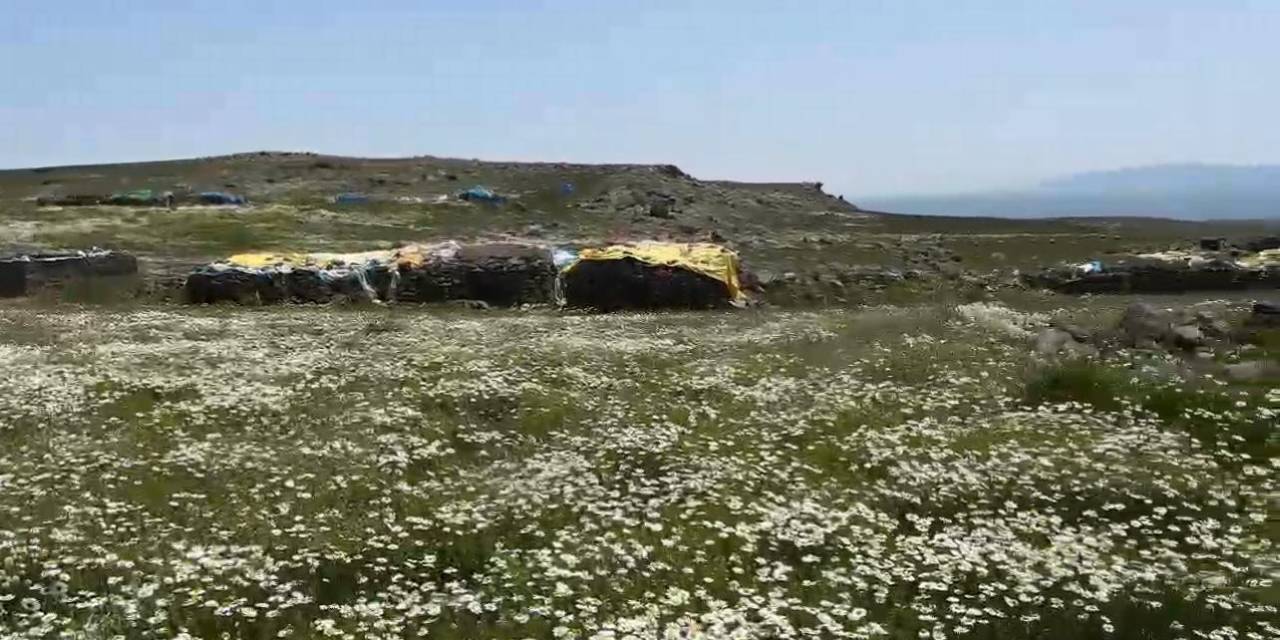 Kars’ta Köylüler Yaylaları İmece Usulü Hazırlıyor