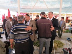 Milletvekili Babaoğlu Beyşehir’de Seçim Çalışmalarını Sürdürdü