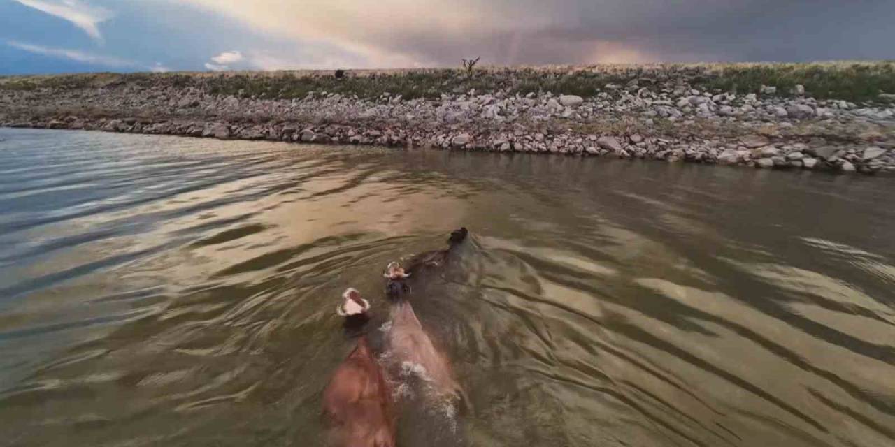 Devegeçidi Barajında Renkli Görüntüler