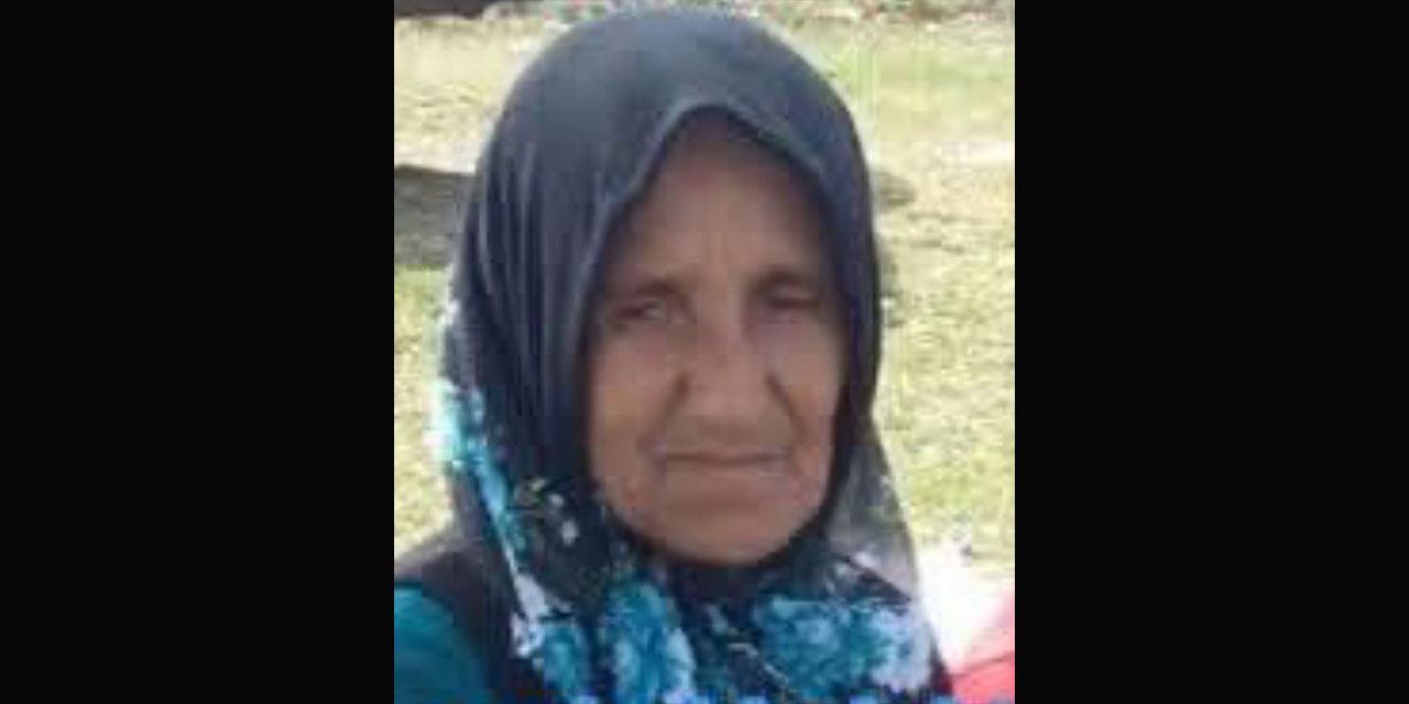 Ordu'da hafriyat kamyonunun çarptığı kadın hayatını kaybetti