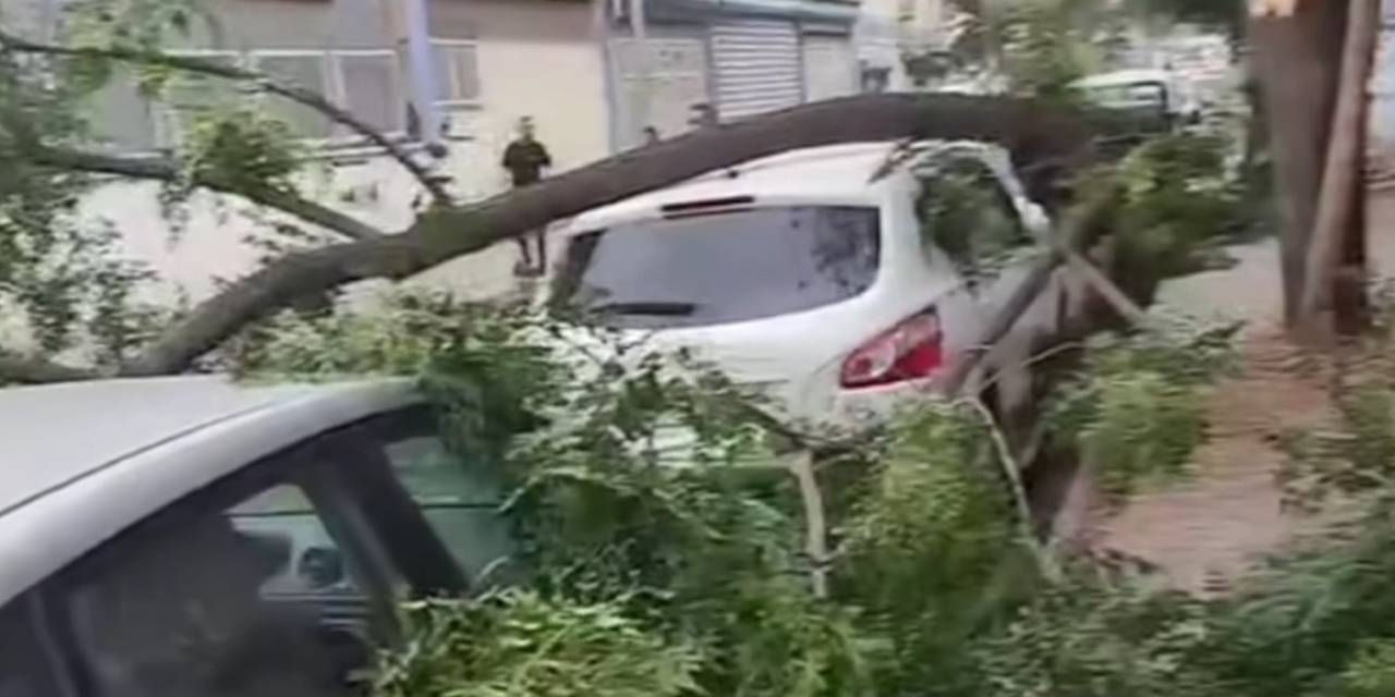 Gaziantep’te Şiddetli Fırtına: Ağaçlar Devrildi, Araçlar Zarar Gördü, Toz Bulutu Etrafı Kapladı