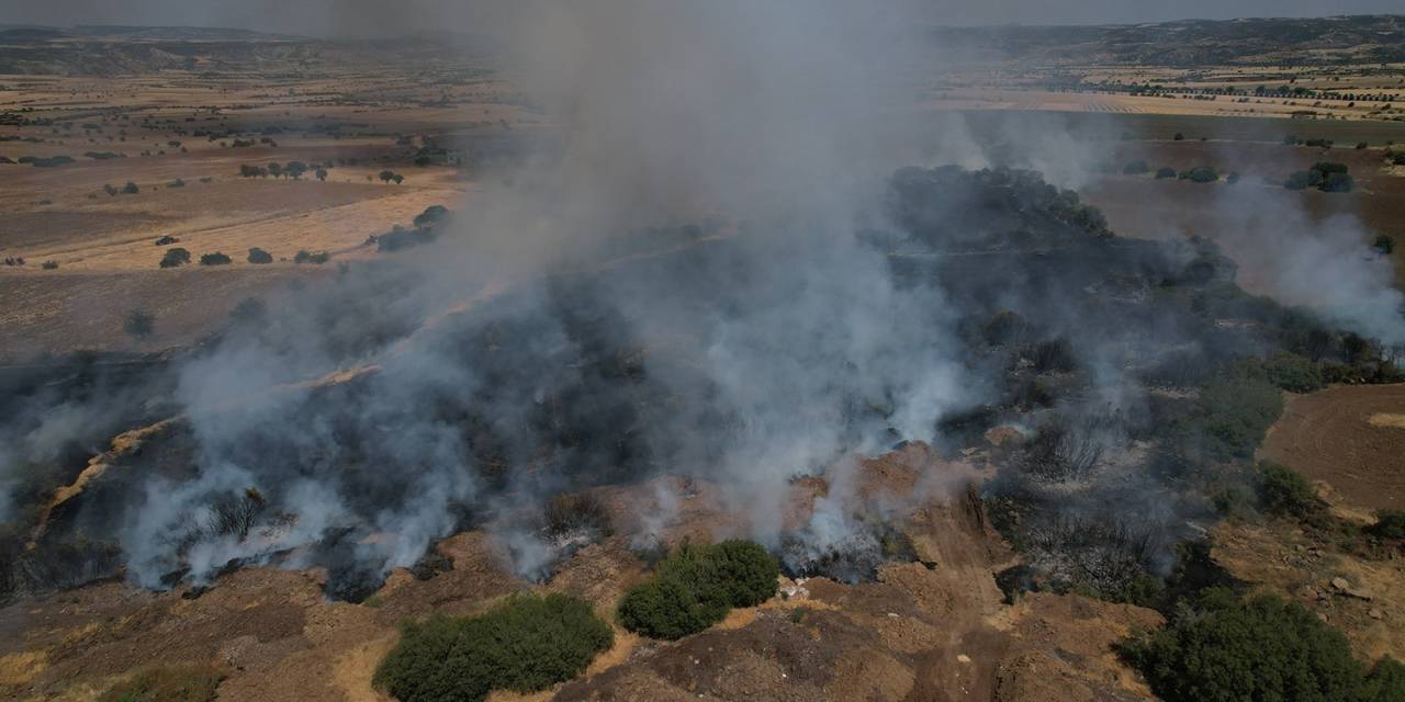 Ekili Alanda Çıkan Yangın Kısa Sürede Kontrol Altına Alındı
