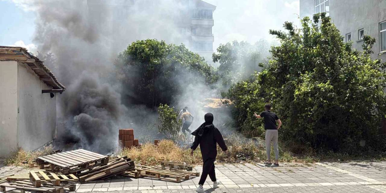 Alevler Arasında Kalan Köpekler Son Anda Kurtarıldı