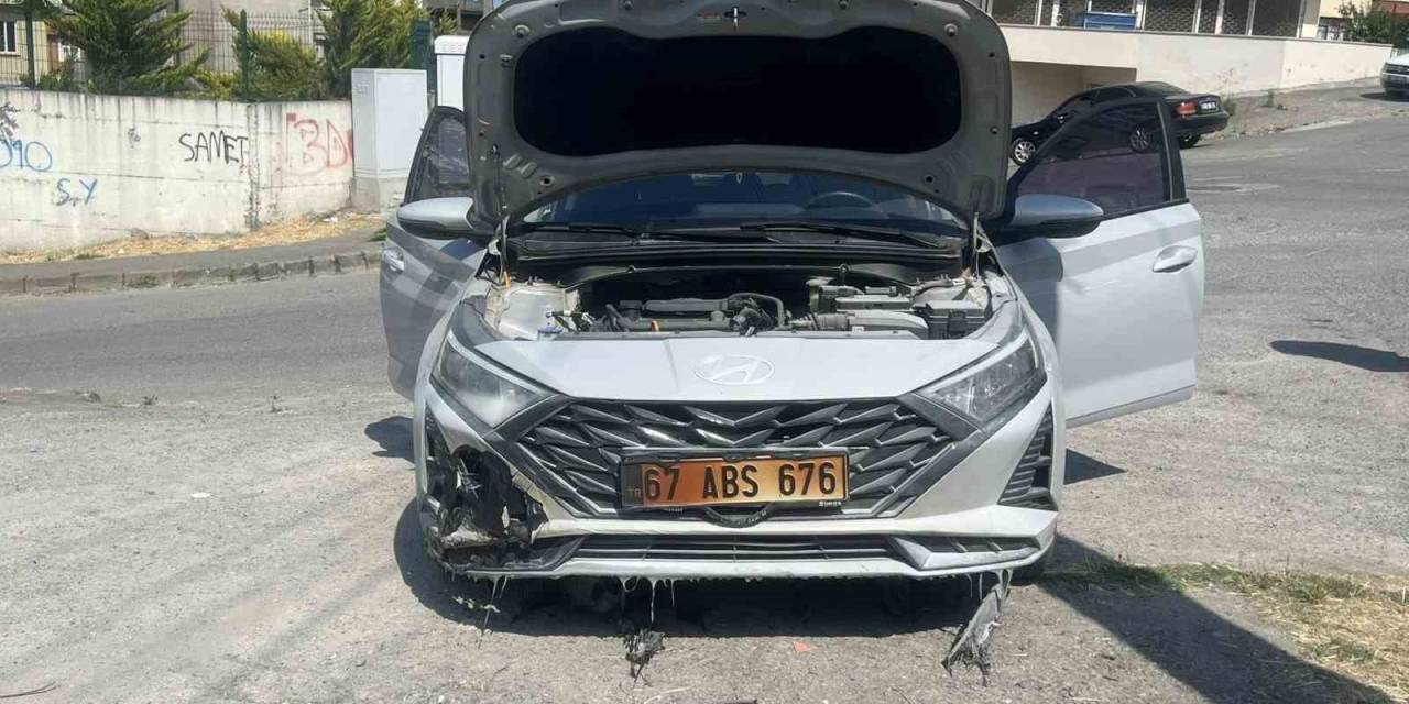 Kopan Elektrik Telleri Otları, Otlarda Aracı Yaktı