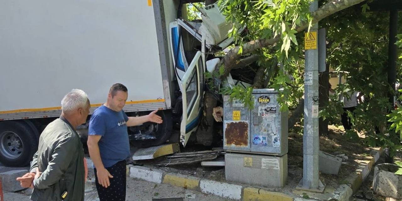 Erdek Ocaklar’da Kaza: Freni Patlayan Kamyon Ağaca Çarptı
