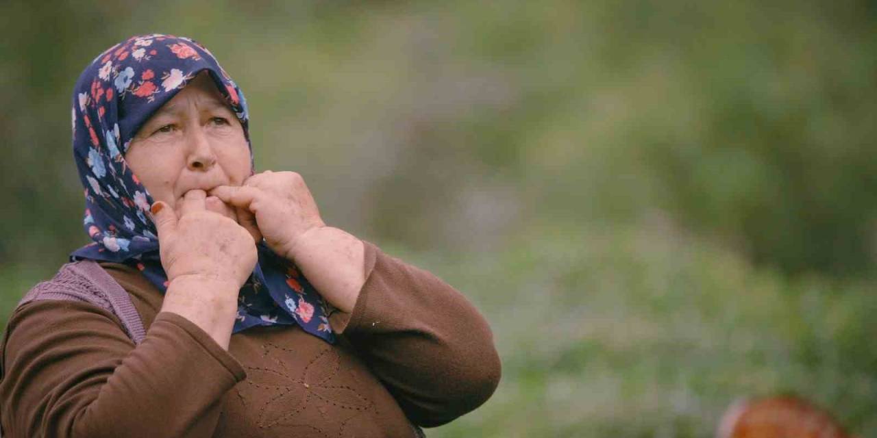 Giresun’da Kültürel Miras Buluşması Gerçekleşecek