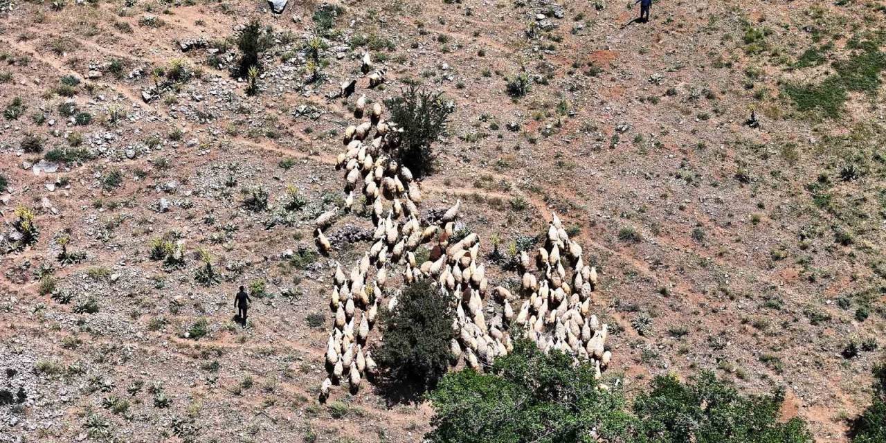 Yaylada Zorlu Şartlara Rağmen Üretmeye Devam Ediyorlar