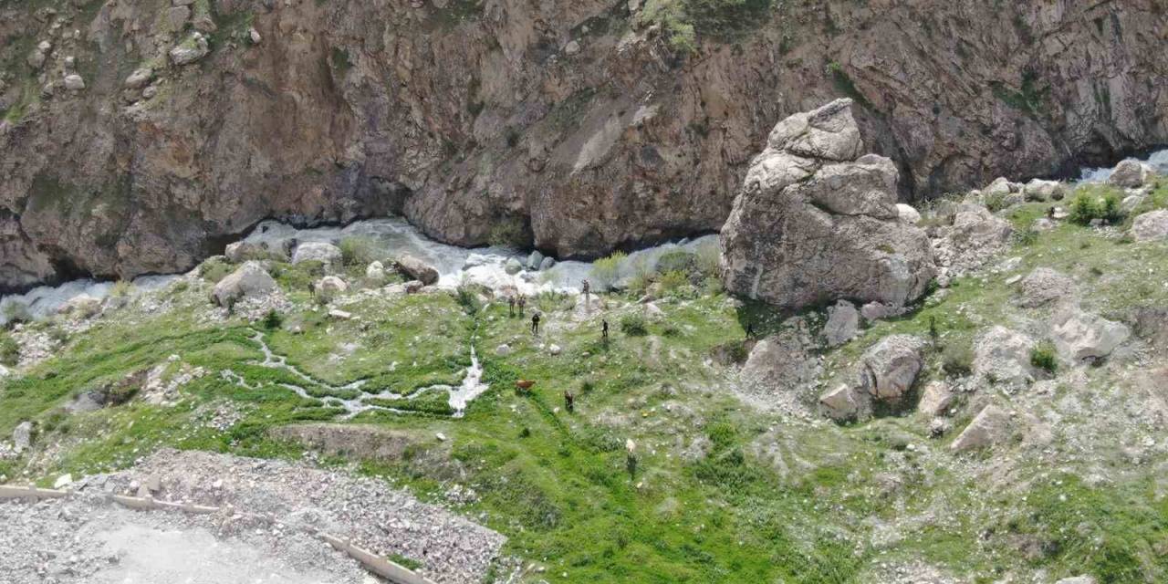 Hakkari Emniyeti, Feleknaz Keskin İçin Arama Çalışmalarını Yeniden Başlattı